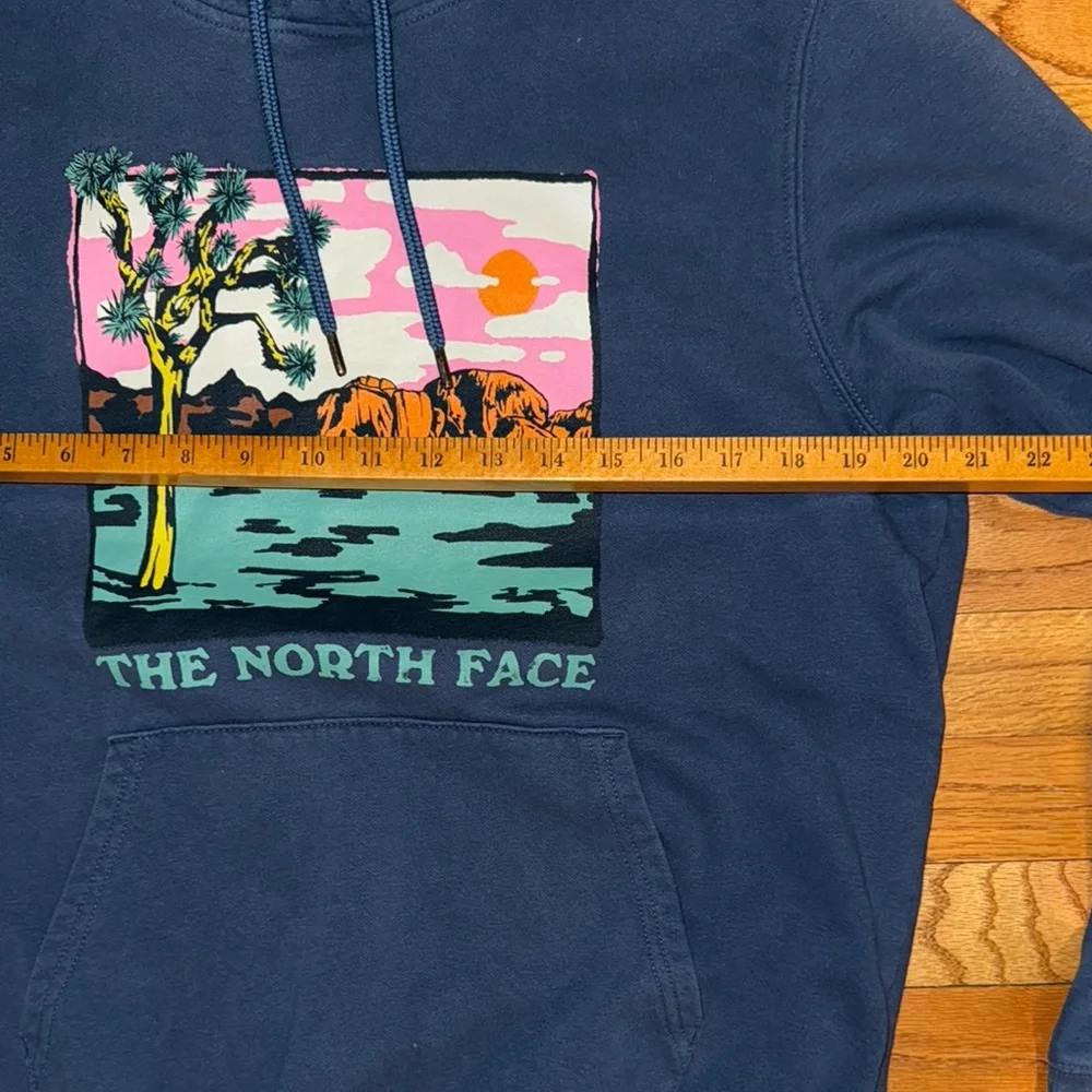 THE NORTH FACE Men's Graphic Injection Hoodie, Shady Blue/Wasabi, Medium‎